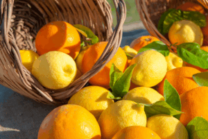 Esposizione di limoni, arance e cedri - duchesse di sicilia